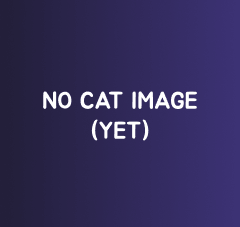 Training / Conditioning